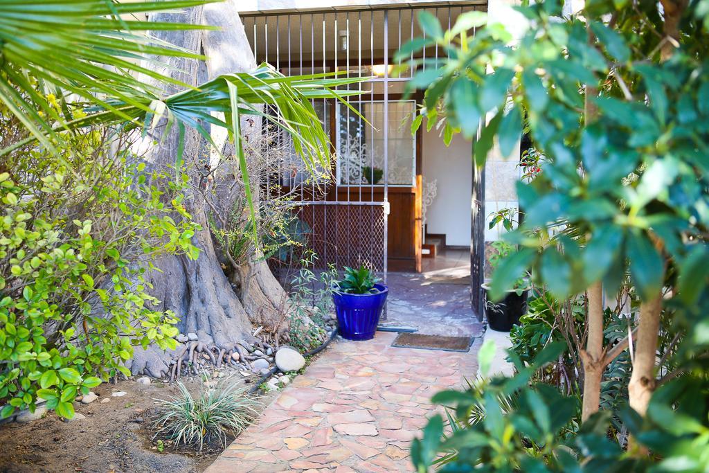 Oudtshoorn Homestay Accommodation Εξωτερικό φωτογραφία